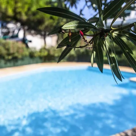 Villegiales Tee2 - Bel En Rez-de-jardin Vue Ponant Mae-1144 Daire *